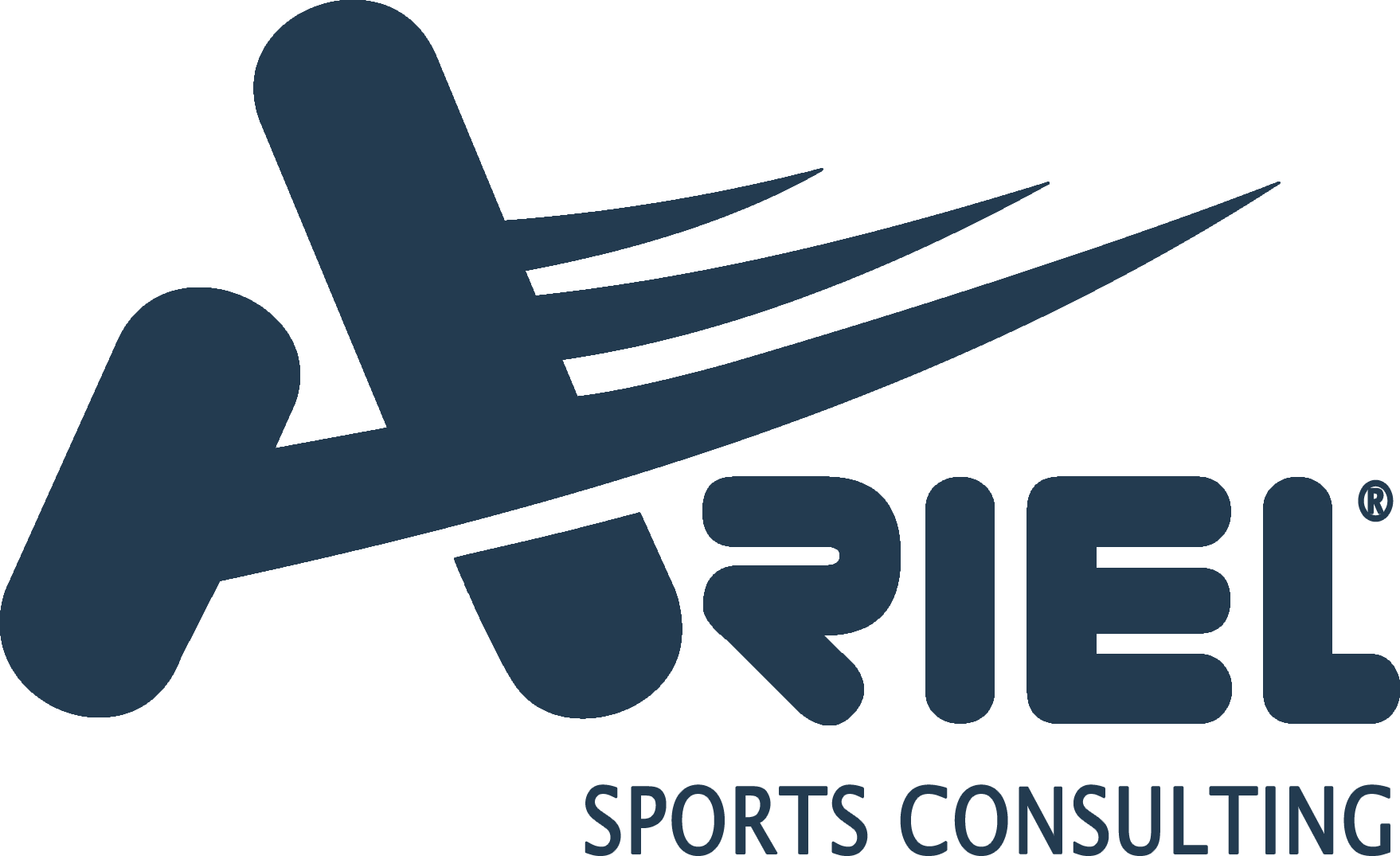 Ariel Sports Consulting